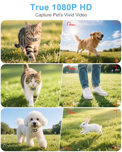 Image of Dog & Cat Camera Collar with Phone APP,1080P HD Video Recording,Easy to Check Videos on APP, M-Size Cordless Dog Collar Cameras,Rechargeable Pet POV Cam