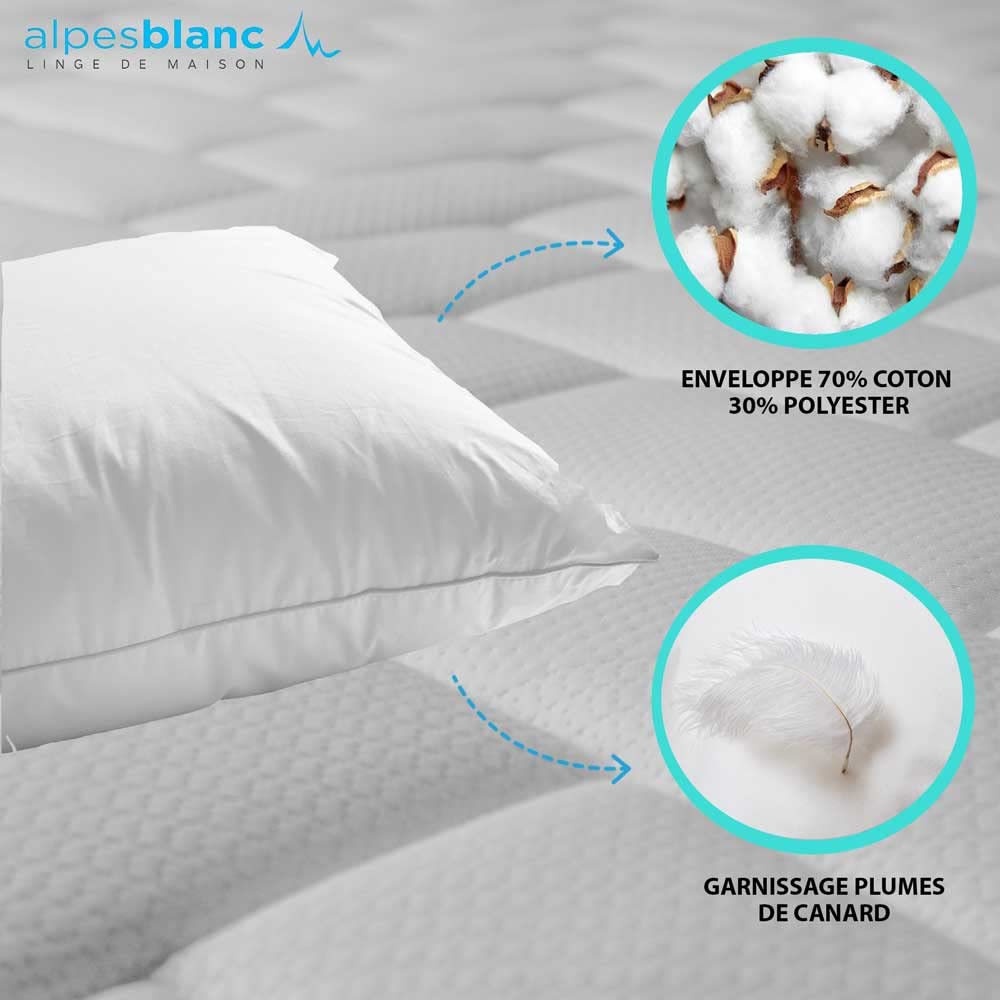 Alpes Blanc – Oreillers 100% plumettes de Canard Neuves – par Lot de 2 – Traitement antiacarien - Confort Ferme et Durable – Fabrication française – 60x60 cm
