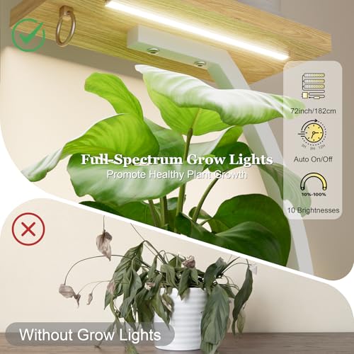 Image of BACEKOLL Plant Stand Indoor with Grow Light - 2 Pack Tall Indoor Plant Shelf, 62 inch Corner Plant Holder, 8 Tiered Large S-Shape Flower Multiple Display Shelf for Home, White