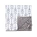 Towin Baby Arrow Minky Double Layer Receiving Blanket, Grey 30x30