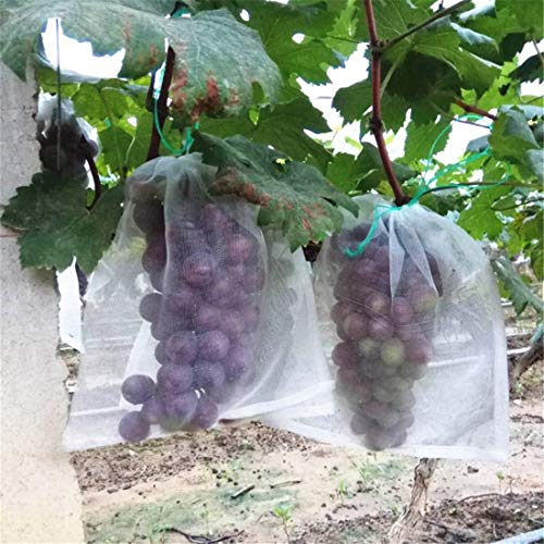 Zzooi 30PCS Grape Bug Net Bag Grape Protection Mesh Cover Bags Against Insects Birds