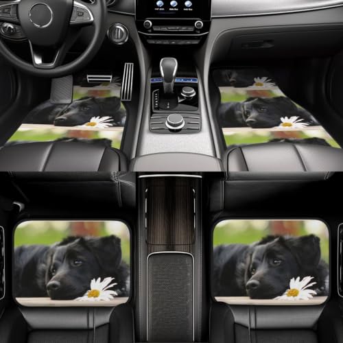 Alfombrillas de Labrador Negro para coche solución contra resbalones y suelo sucio 6