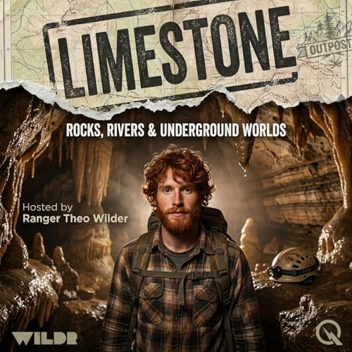 Limestone cover art