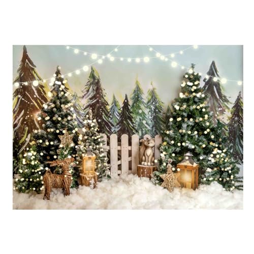 Décoration Winter Wonderland pour shooting photo de famille