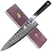 Tuo Cutlery 9.5 inch Pro Chef Knife - Japanese AUS-10D Damascus Steel - Kitchen Knife with Ergonomic G10 Handle - RING-D Series
