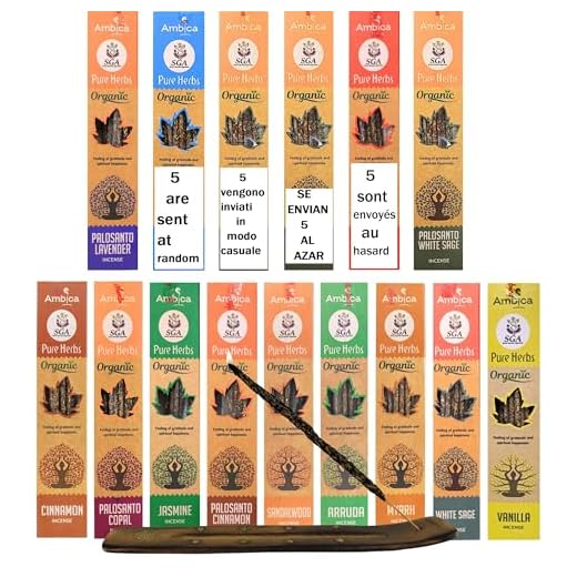 Genérico Incienso Natural Ecológico, Incienso Orgánico sin Tóxicos, Incluye: Palo Santo Salvia Blanca, Canela, Lavanda, Meditación, Ruda, Aromaterapia + Quemador 12x18g
