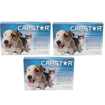 Antipulgas Capstar 11 Mg Cães Gatos 6 Comprimidos 3 Unidades