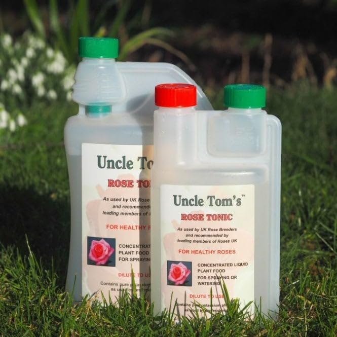 Peter Beales Uncle Toms rose tonic 1 Litre. Looking for a natural way to promote strong healthy growth in your roses? Look no further than Uncle Toms Rose Tonic!