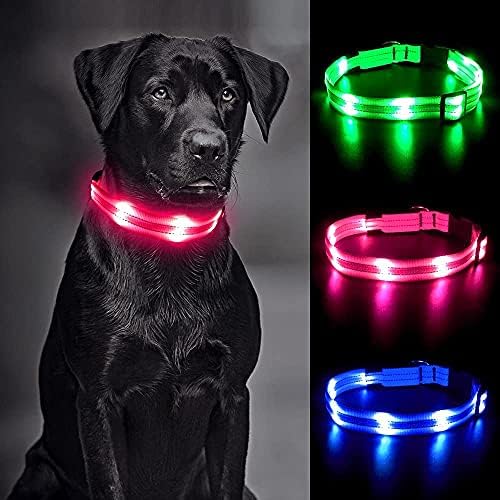 YFbrite LED Dog Collar, Light up Dog Collar USB Rechargeable, Waterproof Flashing Dog Collar, Dog Collar Light Glow in the Dark for Safety night Walking for Small, Medium and Large Dogs (Green, Small)