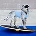 FitPaws Wobble Board - Dog Balance Training Equipment for Core Strength & Stability Canine Fitness & Rehabilitation Tool 20