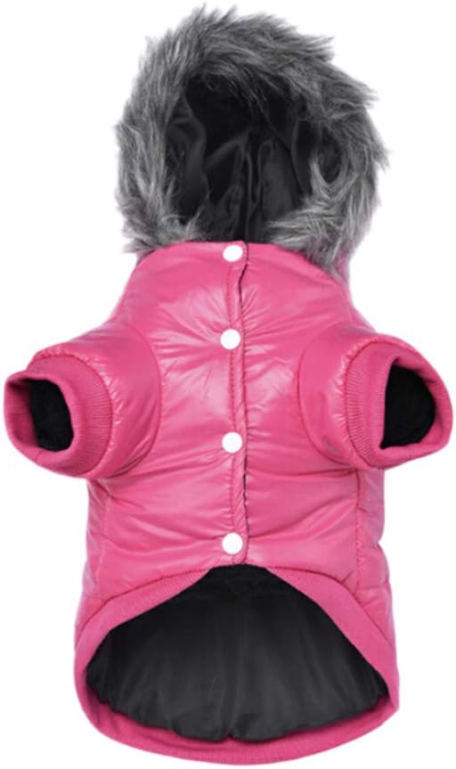 piumino per animali domestici