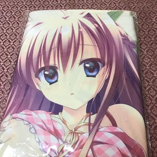 12�̌��̃C�� �F�ތ��R�I �������J�o�[