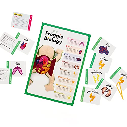 Image of KiwiCo Froggie Lab Dissection Plush Toy | 5-Piece Organ Anatomy Learning Activity | Interactive Biology STEM Stuffed Animal for Kids Ages 3+ - Art & Science Gift