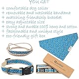 Hundehalstuch mit Halsband und Freundschaftsarmband von Pettsie, Verstellbare Größen S, M, und L, Abnehmbares Bandana Tuch, Inklusive, Hundeliebhaber, M, Blau