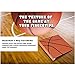 Basketball Card Binder with Hoopz Texture by All Star Products | Real Basketball Look & Feel | Patented 3-Ring Album for Trading Card Protection | Ideal for Collectors & Fans