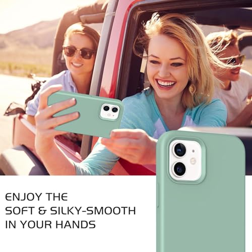 Image of DIZORO Silicone Back Case for iPhone 12 /12 Pro, Soft-Touch Phone Microfiber Silicone Back Cover for iPhone 12 /12 Pro -Mint