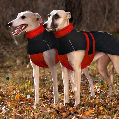Whippet Mantel, Whippet Wintermantel Windhund Pullover Whippet Windhund Wintermantel Hundejacke für Windhunde Greyhound Winter Mantel