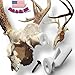 Backcountry Innovated | The Buck Plug | Integrated Deer Skull Hanger | Durable Construction | European Skull Mount Hanger | Taxidermy