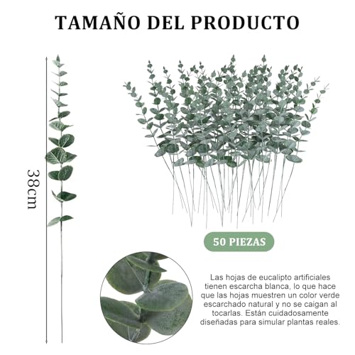 La mejor selección de Hojas secas - los preferidos. 26 Imagen adicional