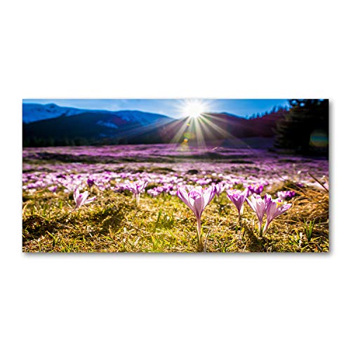 Tableau verre plastique 140x70 incassable pour décorer sans risque - 2