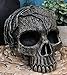 Ebros Gift Dryad Ent Tree Swamp Thing Monster with Creeping Roots Skull Decorative Figurine Greenman Vegetative Deity Graveyard Haunted Halloween Ossuary Ghost Creature of The Woods Skulls