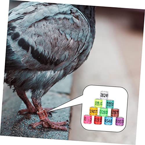 Generic 100Pcs Pigeon Supplies Ankle Ring Pigeon Racing Bird Ring Birds Doves drumstick Quail Leg Bands Tool Pigeon Aluminum Numbered Chicken Leg Rings Parrot Foot Rings Chick, 1.1x0.8cm