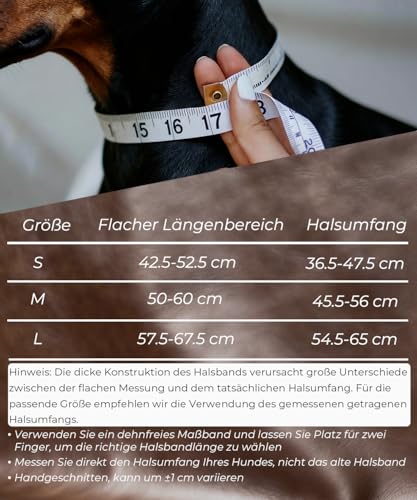 EliteGuard Hundehalsband Leder, 5,6 cm Breit, Handgefertigt Mit Nieten Und Edelstahlschnalle, Für Den Täglichen Gebrauch Bei Großen Hunden, Schwarz M