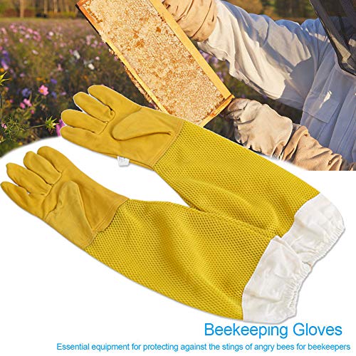 HOTEU Harvest Bee Hive Beekeeping King Box/gloves Pollination Box Beekeeping Tool for Garden Pollination