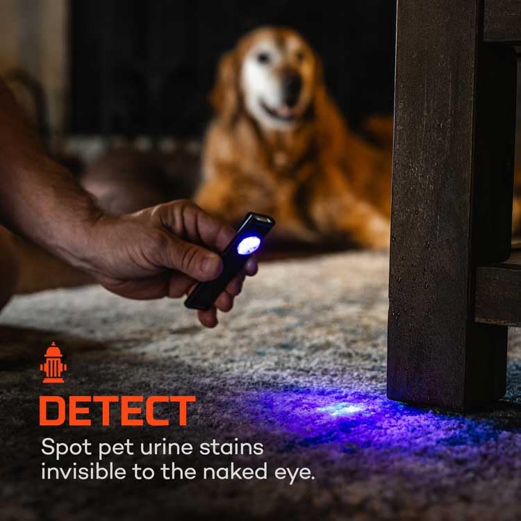 Image of NEBO Slim Mini UV Flashlight | 150 Lumens, 4 Light Modes, Rechargeable & Portable Ultraviolet Light, Magnetic Base & Durable Clip, Waterproof, Detector Pocket Flashlight, Includes Charging Cable