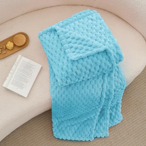 Image of BEDELITE Light Blue Throw Blanket for Couch, Soft Gifts for Women, 50 * 60 | 3D Jacquard Decorative Fleece Blanket, Super Soft Plush Throws, Cute Birthday Gift for Women & Men, Suitable for All Seasons