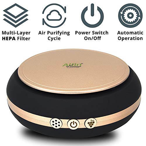 Image of AllExtreme AE-X02 Portable Mini Travel USB Car Air Purifier Negative Ions Ionizer Air-Freshener with HEPA Filter to Remove Odor Smell Bacteria and Allergen (4.2W)