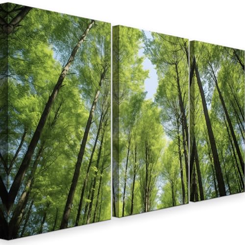 INTELIENZOS Cuadros Salon • Modernos • Lienzos decorativos • Decoración Pared • 120cm • Grande 3 piezas • Bosque Verde • Decoracion Dormitorios • Comedor • Oficina • Pasillo