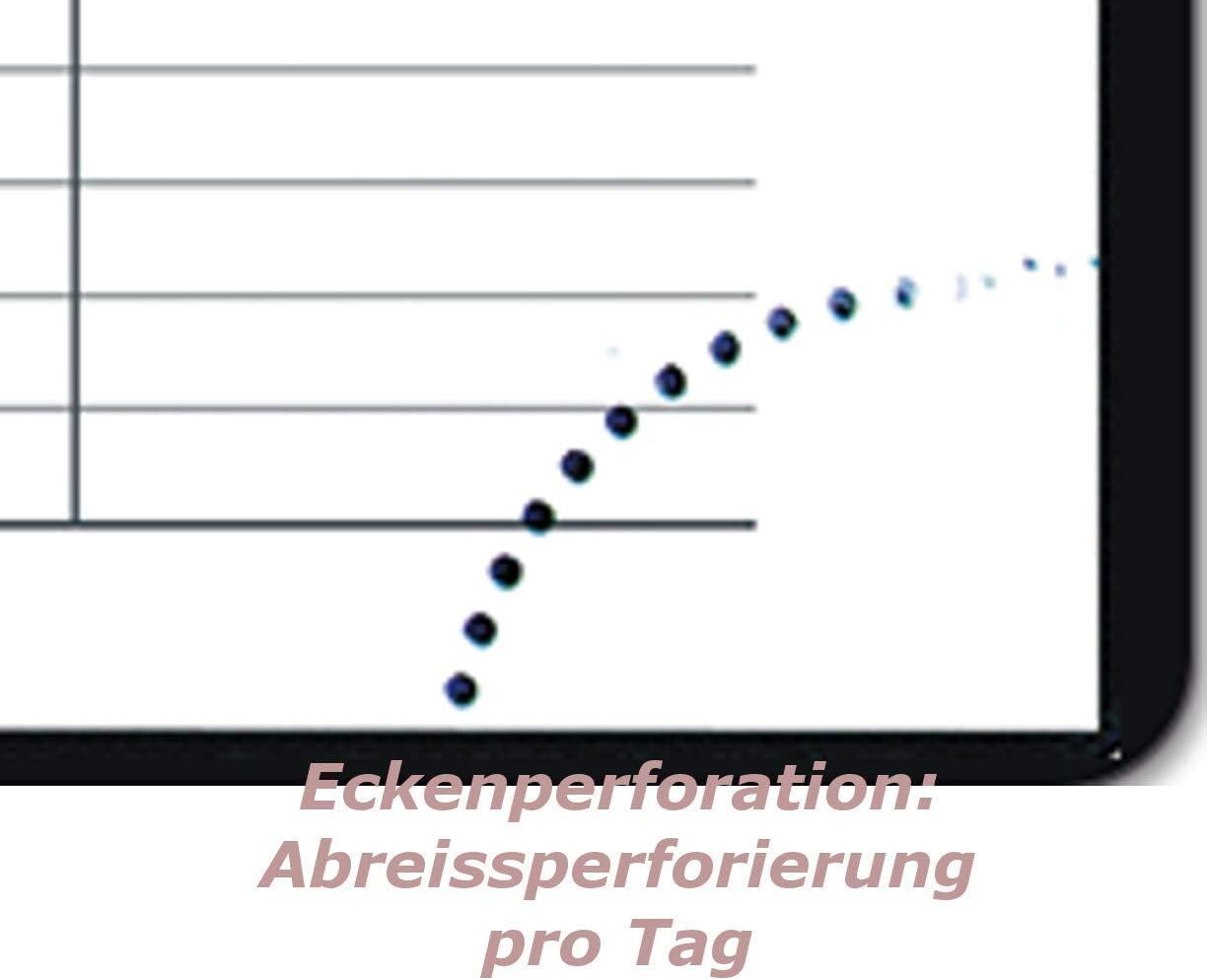 Güss Praxis-Timer A4 Einband Tucson burgund