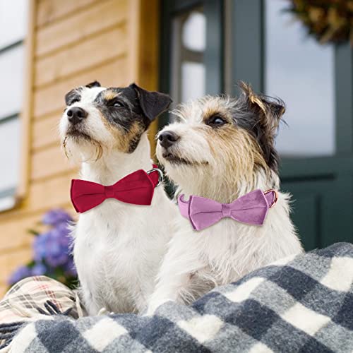 KTWSUEF Hundehalsband Samtiges, mit Abnehmbarer Hunde Fliege, Komfortable Verstellbares Samtige Halsband Hund, Geeignet für Hunde Kleine Mittel große Hunde, Für Hochzeiten, Geburtstage, Partys usw