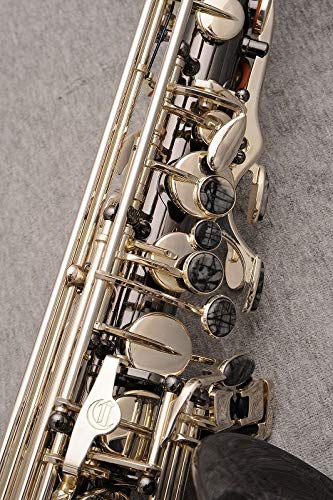 Amazon | Cannonball キャノンボール アルトサクソフォン BIG BELL
