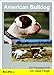 Produktbild American Bulldog