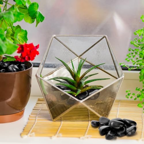 Soujoy 15Lbs Black River Rock, 1-2 Inch Pebbles For Plants, Natural Polished Decorative Stone For Landscaping Outdoor thumb #3