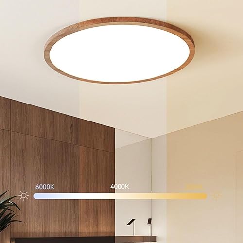 Miniatura 5 de Remote Control Dimmable Three-Color dimming Ceiling Light Flush Mount Round Modern Minimalist Lighting Fixture for Kitchen Bedroom Living Room(47cm)