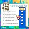 Natural Sea & Synthetic Sponges - Assorted Sizes 12pc Value Pack for Crafts & Artists: Multi - Purpose Art Supply for Professional Painting, Ceramics, Clay & Pottery Projects (12) #5