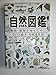 自然図鑑 動物・植物を知るために (福音館の科学シリーズ)