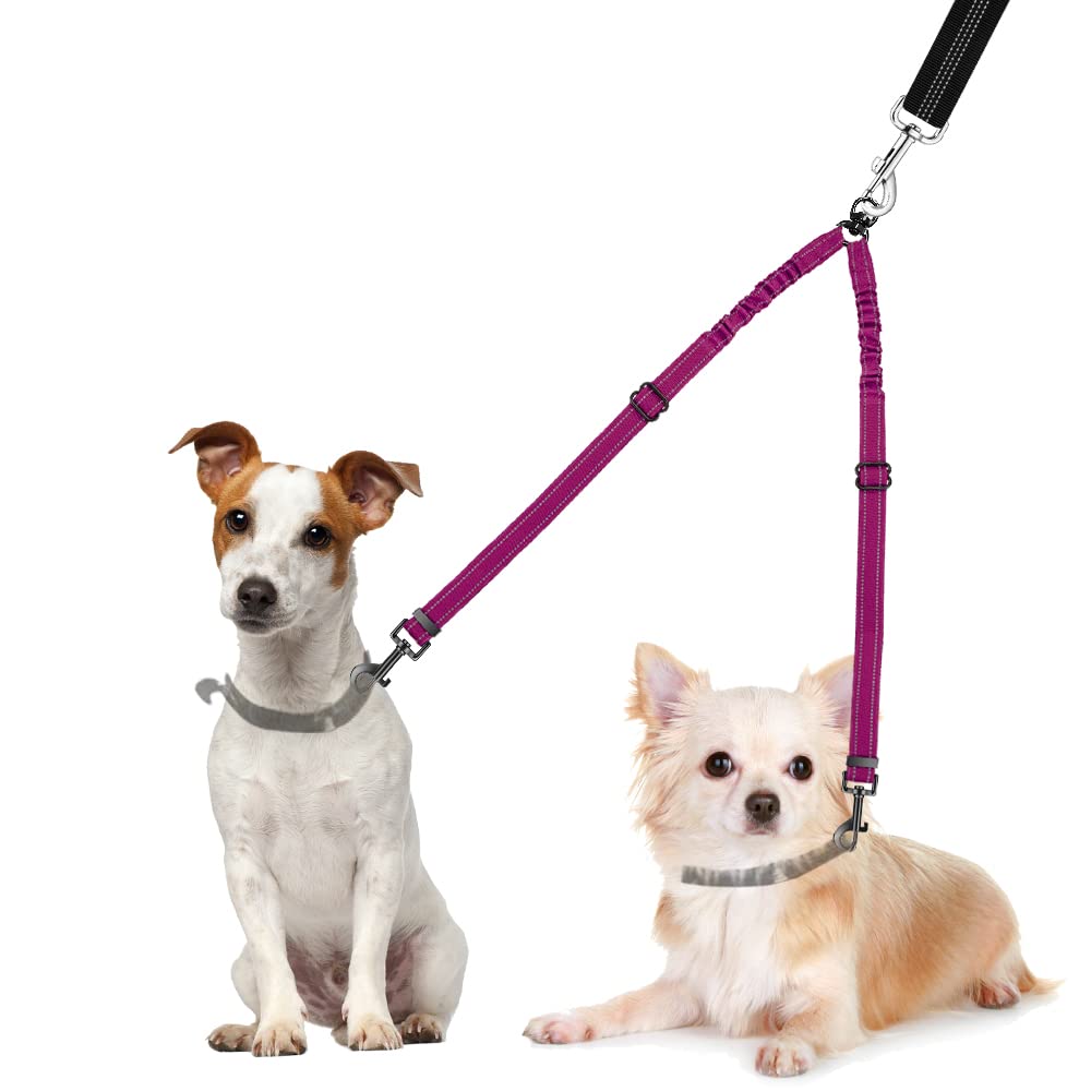Nasjac Doppelte Hundeleine, kein Verheddern 360° drehbarer Splitter Doppelleine fur Zwei Hunde, verstellbare stoßdämpfende Bungee-reflektierende Leine für Hunde klein mittlere und große Lauftraining