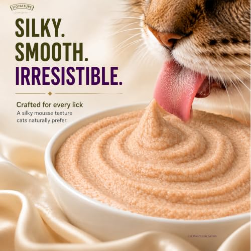 Image of Grain Zero Adult Cat Wet Mousse 80g Pack of 5, (400g) | Ocean Fish | Rich in Protein | Promotes Hydration & Easy to Digest | No Artificial Flavours | Packed with Essential Vitamins & Antioxidants