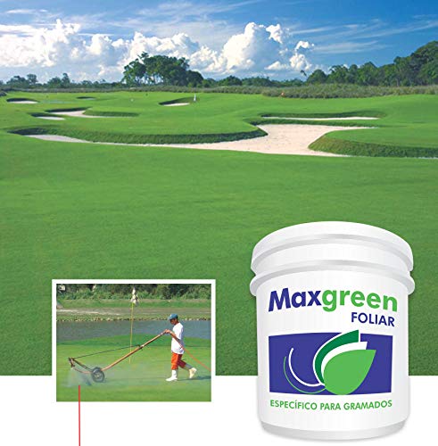 Fertilizante Adubo Para Gramado Maxgreen Foliar 3 Kg
