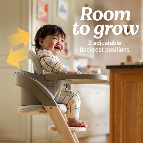 Image of Graco Close2Baby 2-in-1 Highchair & Toddler Youth Stool