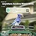 Bird Feeder with Camera Solar Powered : Smart Camera Bird Feeder 2K Live Feed Cam for Backyard - AI Identify Auto Capture Videos Pictures, Gifts for Birdlover Mom Dad, 2.4GHz WiFi