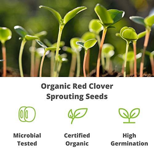 Handy Pantry Seeds Sprouting Clover, 4 Oz #TOP2