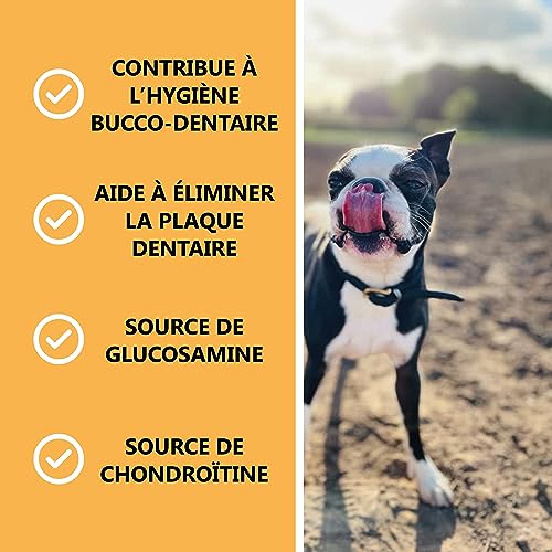 Pets Purest Pattes de Poulet pour Chiens - Friandises à Mâcher Pieds de Poulet Séchés à l'Air - pour Tous Les Ages, y Xompris Les Xhiots et Les Chiens Agés - Céréales Saines - sans Gluten ni Lactose - Image 4