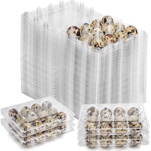 YOUEON 60 Pcs Clear Quail Egg Cartons 12 Count Plastic Egg Trays Small Egg Storage Holders with Lids Stackable Bulk Egg Boxes for Quail Pigeon Pheasant Display Refrigerator Storage