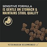 Purina-Pro-Plan-Sensitive-Skin-and-Stomach-Dog-Food-Salmon-and-Rice-Formula-30-lb-Bag