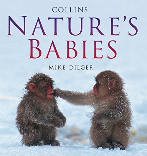 Nature’s Babies: An Illustrated Wildlife Ecology Book About Families in the Animal Kingdom